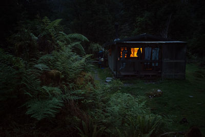 Illuminated house amidst trees in forest at night