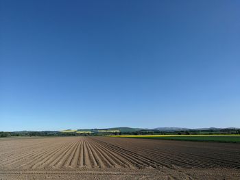 Scenic view of agricultural field against clear blue sky