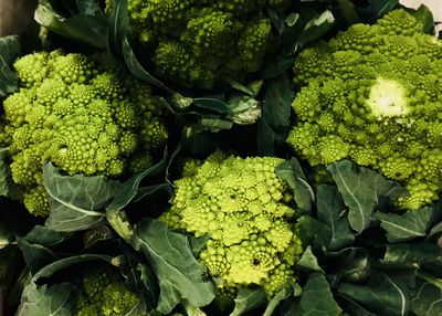 Full frame shot of vegetables in market