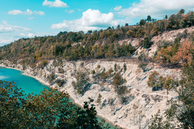 Scenic view of river amidst trees against sky