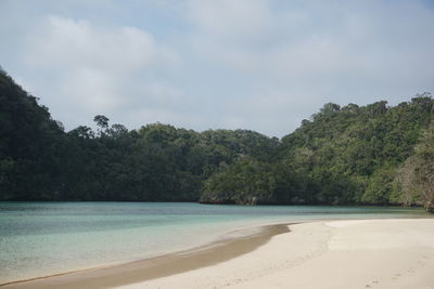 Scenic view of beach against sky