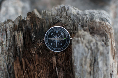 Close-up of clock on tree trunk