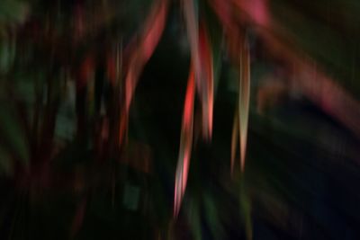 Close-up of light trails at night