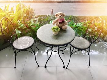 Dog and chairs on table