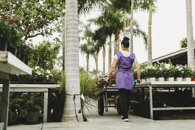 Rear view of female owner with wheelbarrow in plant nursery