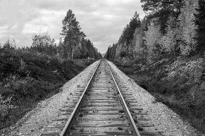 Railroad tracks amidst trees against sky