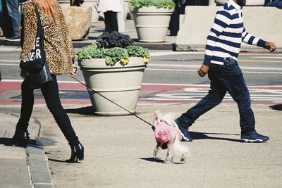 Low section of woman walking with dog on road during sunny day