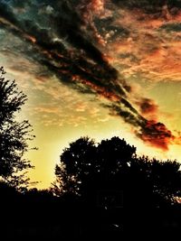 Silhouette of trees against cloudy sky