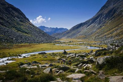 Narrow stream along countryside landscape