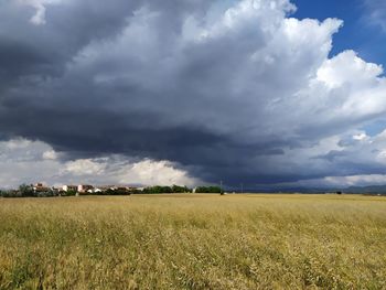 Scenic view of agricultural field against sky