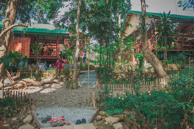 Plants growing by building