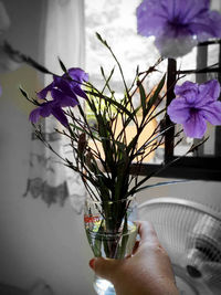 Close-up of purple flowering plant