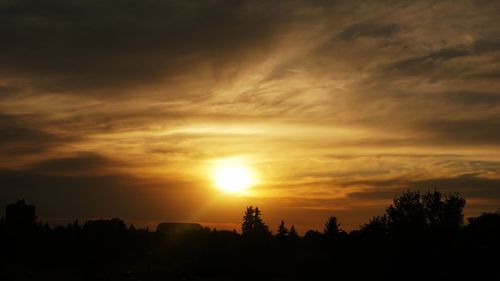 Silhouette trees against dramatic sky during sunset