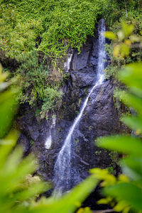 Scenic view of waterfall