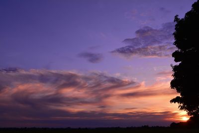 Low angle view of silhouette trees against dramatic sky