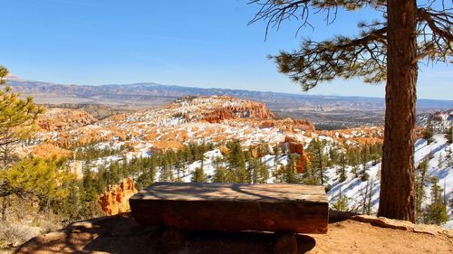 View of trees on landscape against mountain