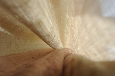 Close-up of human hand