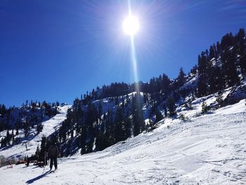 Sun shining through trees on snow covered landscape