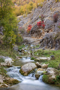 Scenic view of stream flowing through rocks