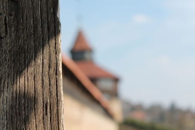 Close-up of tree trunk against sky