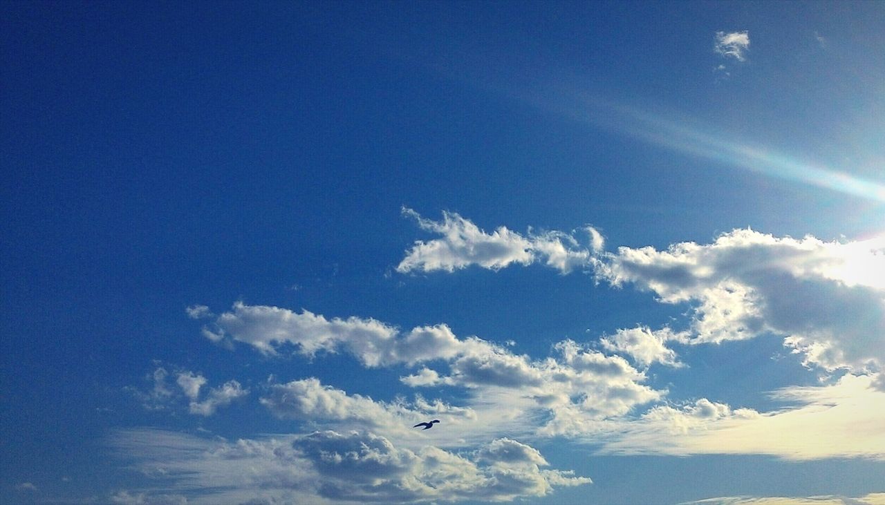 blue, low angle view, sky, beauty in nature, scenics, flying, cloud - sky, nature, sky only, tranquility, tranquil scene, cloud, cloudscape, idyllic, outdoors, day, mid-air, no people, sunlight, vapor trail