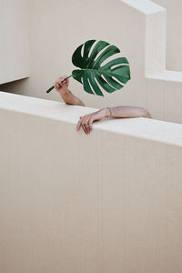 High angle view of woman sitting on wall