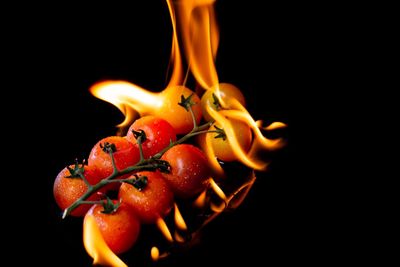 Close-up of orange berries against black background