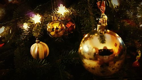 Close-up of illuminated christmas tree at night