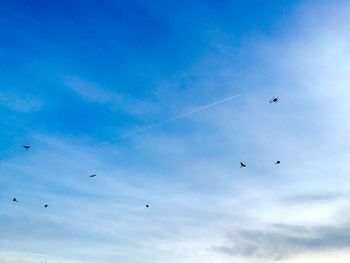 Distant view of birds and helicopter flying in blue sky