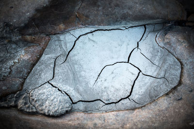 Close-up of cracked rock