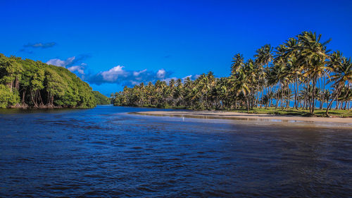 Scenic view of sea against blue sky