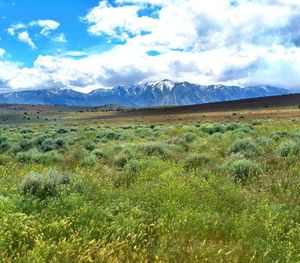 Scenic view of landscape against cloudy sky