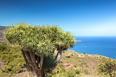 Scenic view of sea against clear blue sky