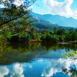 Scenic view of lake in forest against sky