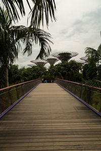 Footbridge amidst trees against sky