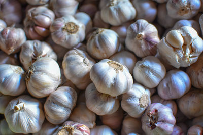 Full frame shot of garlic