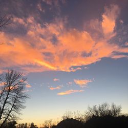 Low angle view of silhouette trees against dramatic sky