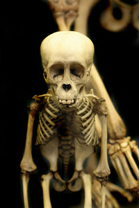 Close-up of human skull against black background