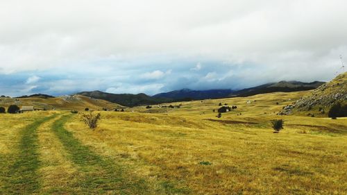 Scenic view of landscape against sky