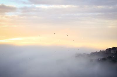 Bird flying over cloudy sky