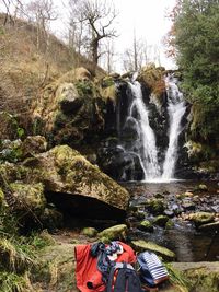 Scenic view of waterfall in forest