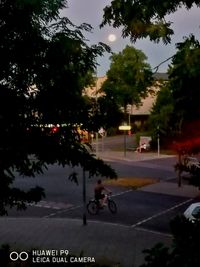 People riding bicycle on road in city