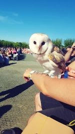 Close-up of hand holding bird