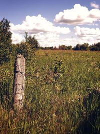 Scenic view of field against sky