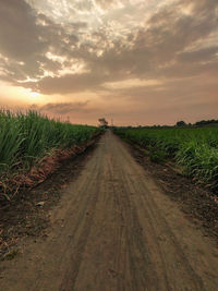 Dirt road amidst field against sky during sunset