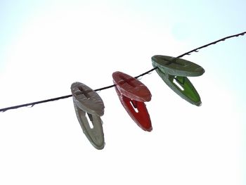 Low angle view of clothespins on clothesline against sky