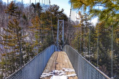 Footbridge amidst trees in forest during winter