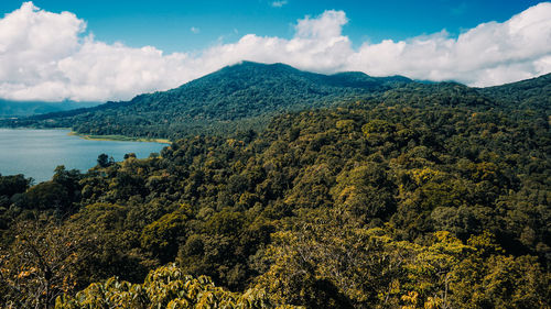 Scenic view of trees and mountains against sky