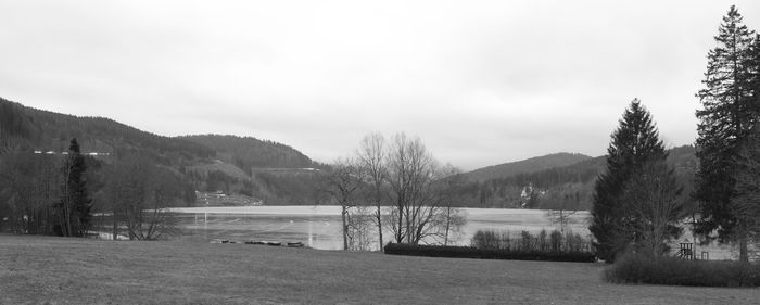 Scenic view of lake and trees against sky