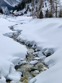 Scenic view of snow covered land and trees